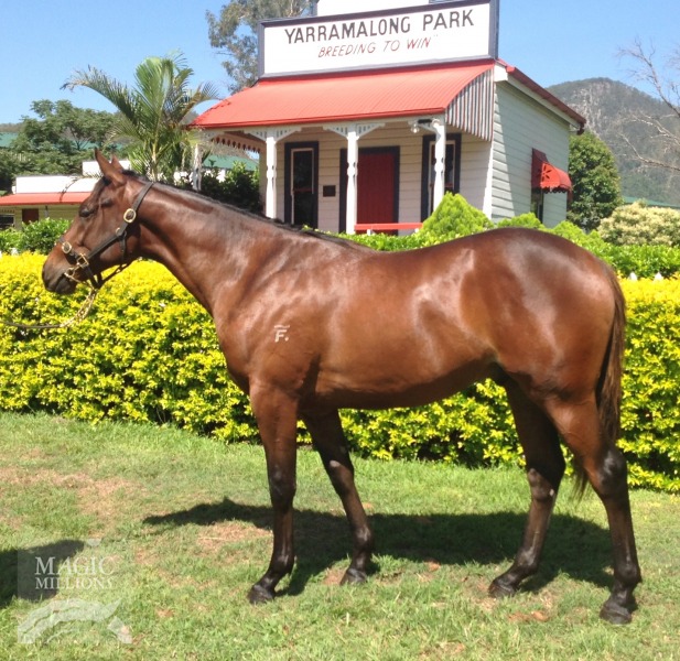 Freeze (AUS) / Montare (NZ) - photo 1