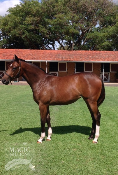 Manhattan Rain (AUS) / Oscar Dreams (AUS) - photo 1