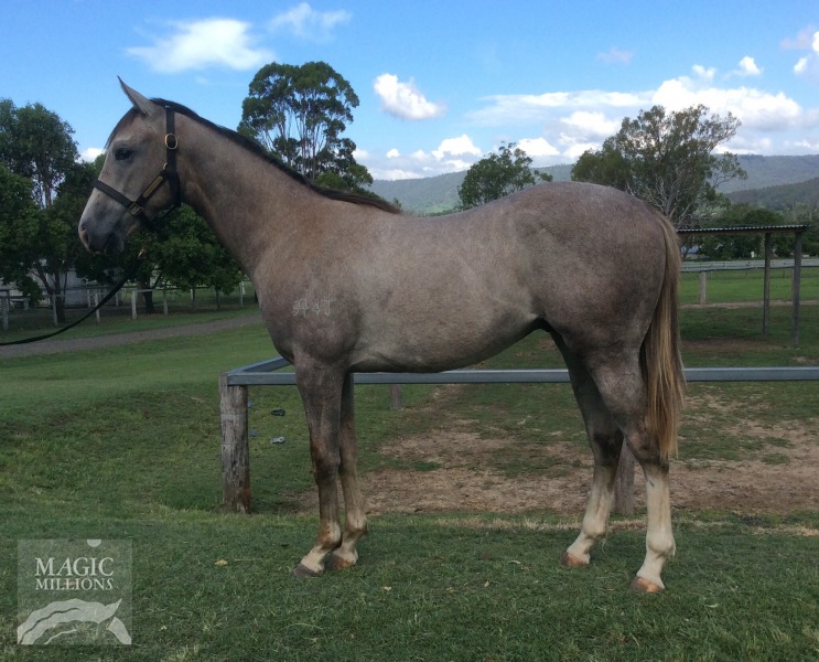 Monashee Mountain (USA) / Tres Rosa (AUS) - photo 1