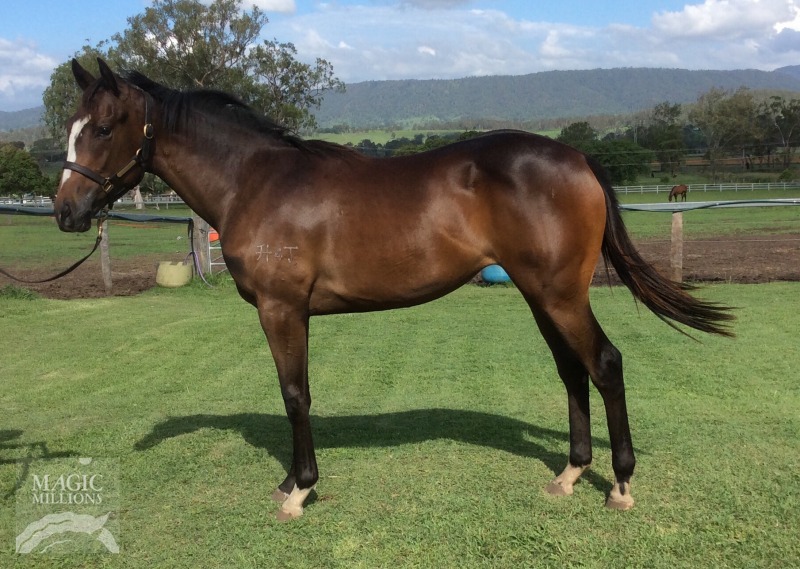 Wonderful World (AUS) / Two Fingers (AUS) - photo 1