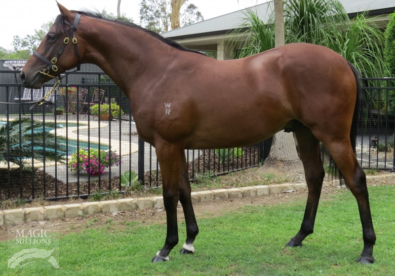 Ilovethiscity (AUS) / Bathing Beauty (AUS) - photo 1