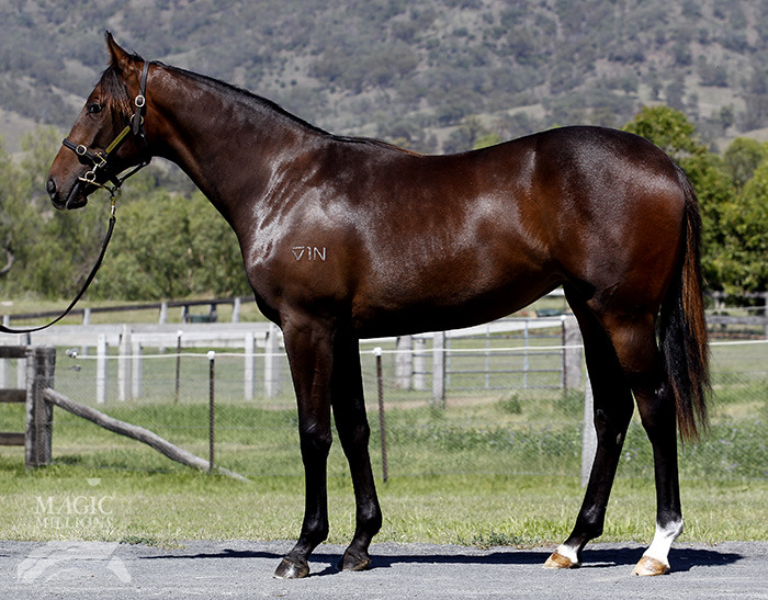 Scalped (AUS) - photo 1