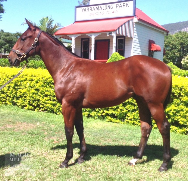 Astarac (AUS) - photo 1