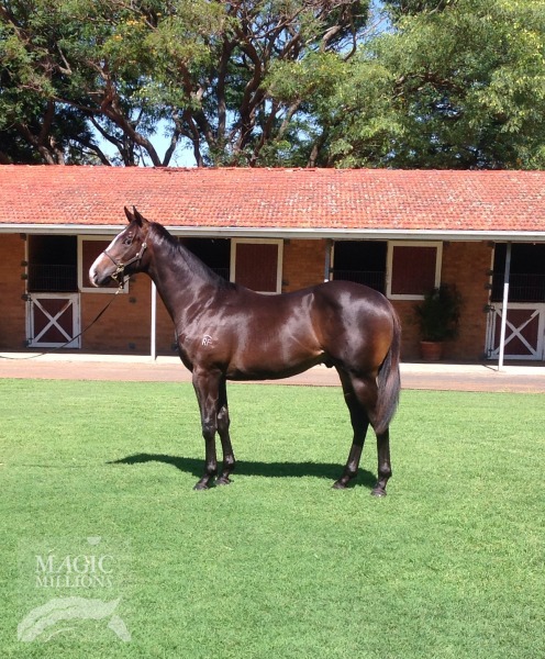 Sequalo (AUS) / Kodachrome (AUS) - photo 1