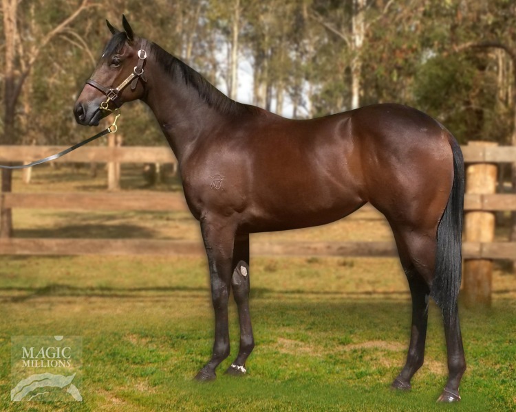 Wonderful World (AUS) / Miss Pariza (AUS) - photo 1