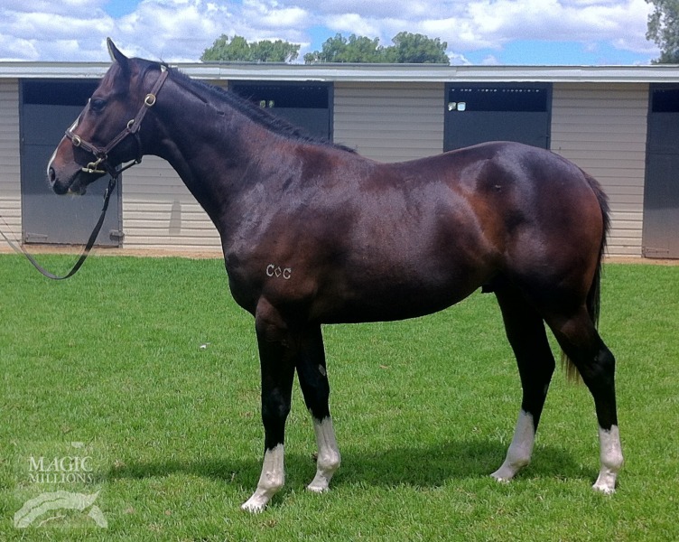 Hostwin Vintage (AUS) - photo 1