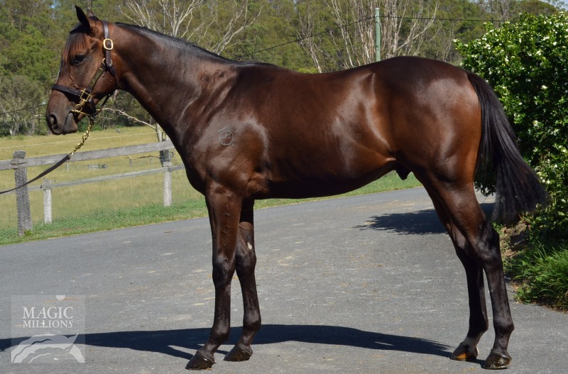 All Pickled (AUS) - photo 1