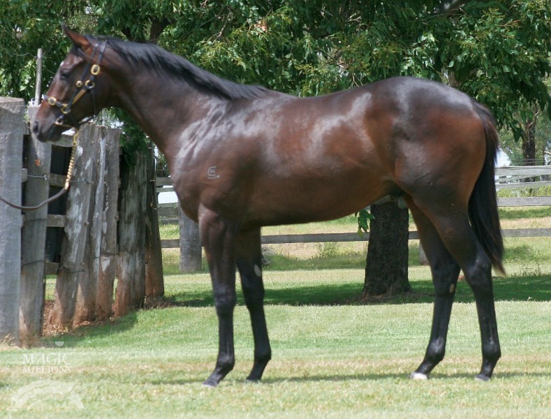 Steel Ruler (AUS) - photo 1