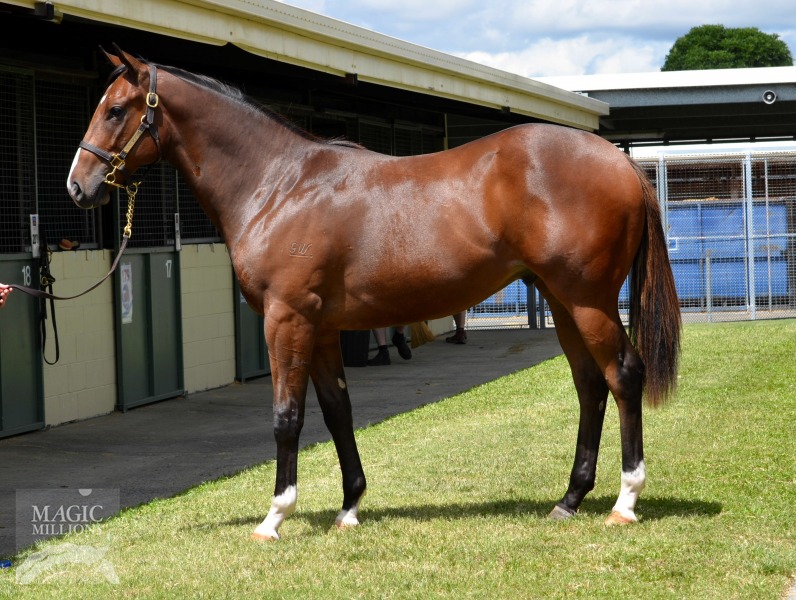 Snippetson (AUS) / Alexa Ray (AUS) - photo 1
