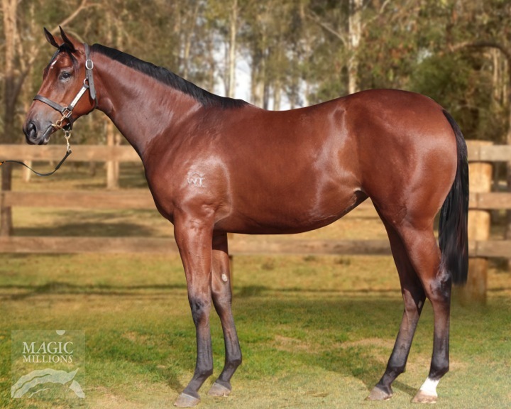 My Girl Chaz (AUS) - photo 1