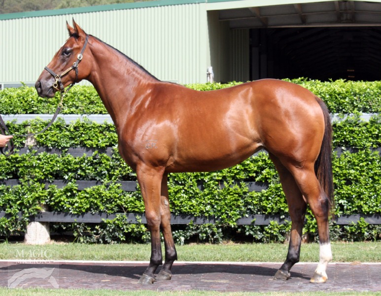 Rothesay (AUS) / Classic Heart (AUS) - photo 1