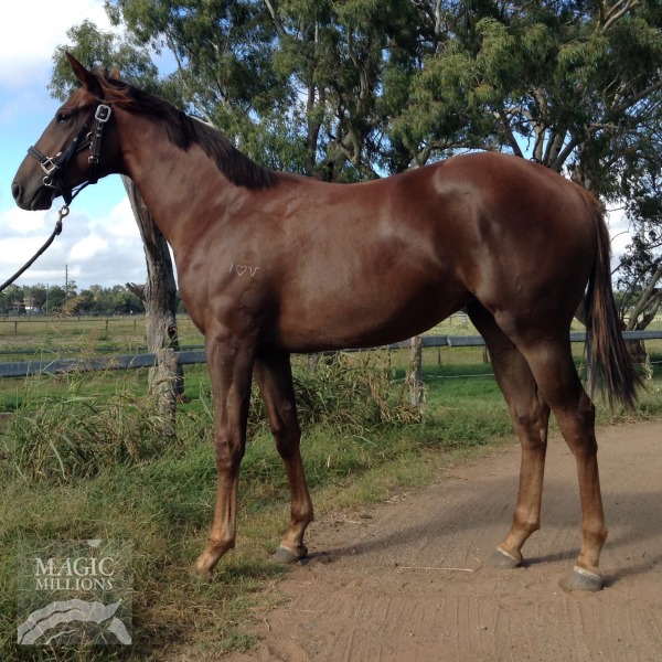 Hidden In Heaven (AUS) - photo 1