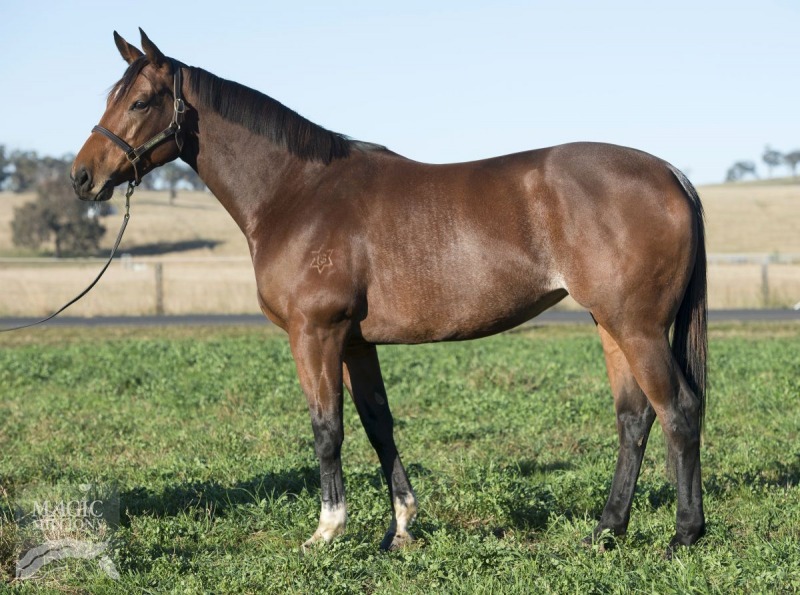 Godiva Rock (AUS) - photo 1