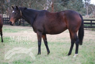 Slapstick (AUS) - photo 1