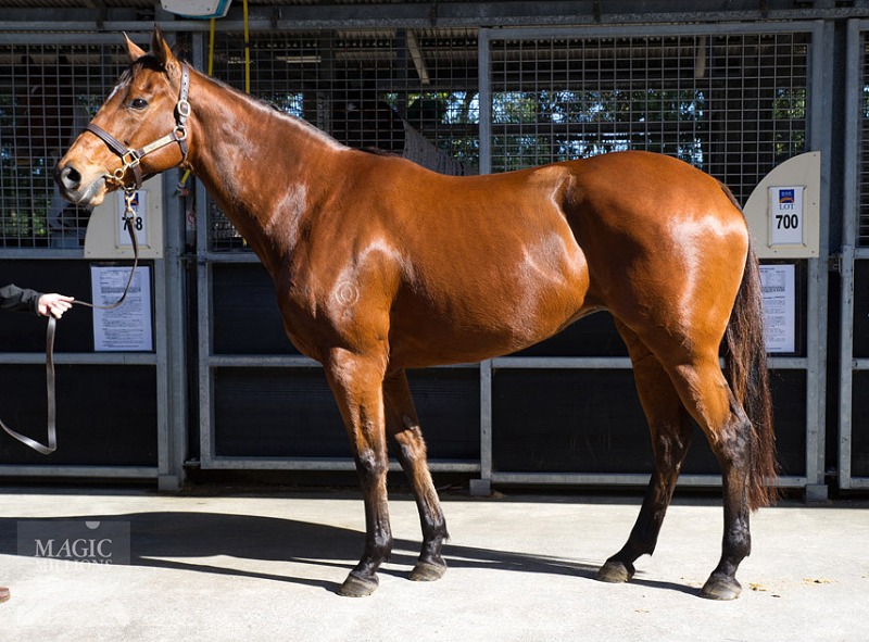 Imagining (AUS) - photo 1