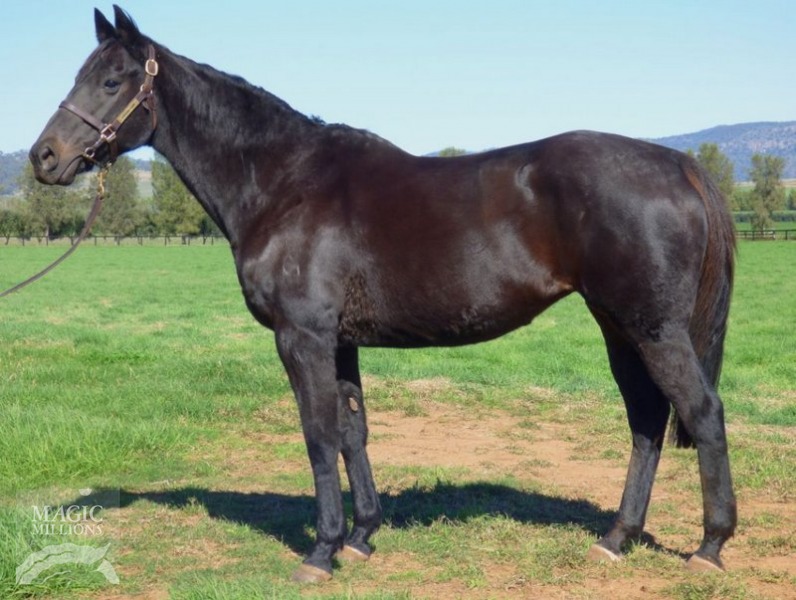 La Rumba (NZ) - photo 1