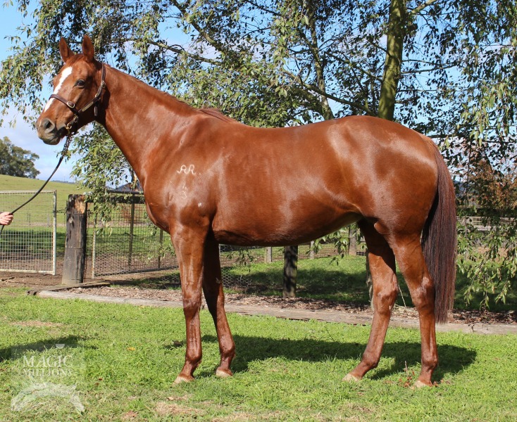 Thisideup (AUS) - photo 1