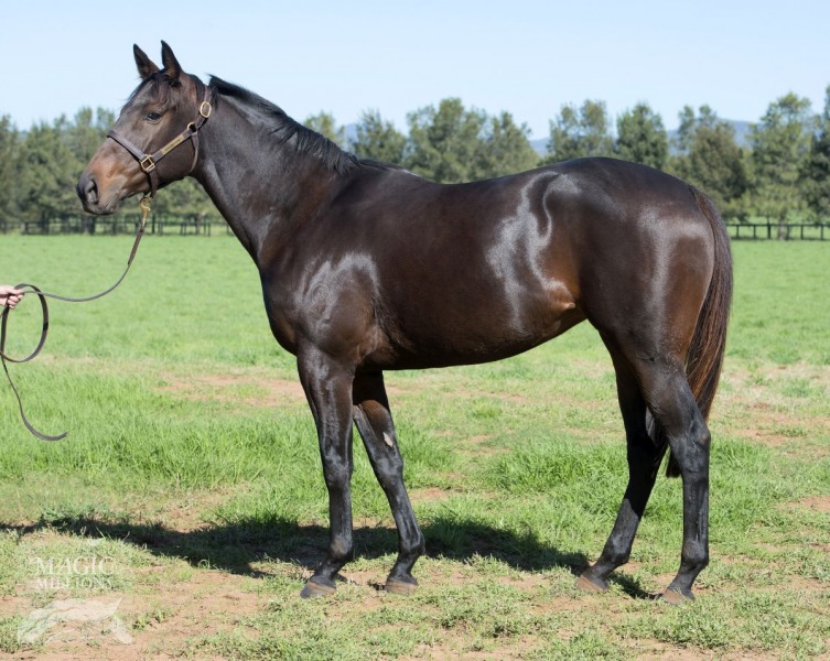 Crystal River (AUS) - photo 1