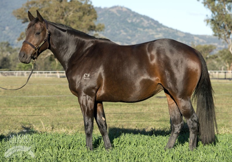 Darook Park (AUS) - photo 1