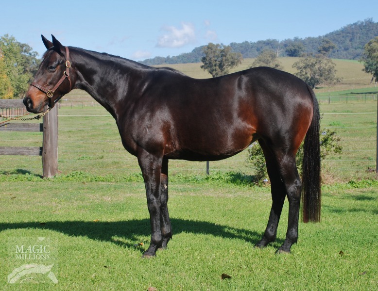 Finally (AUS) - photo 1