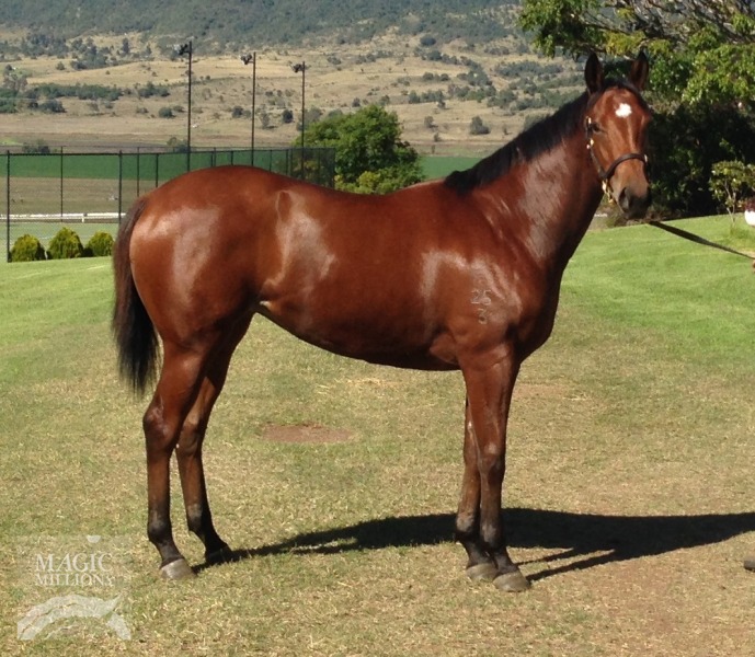 Snippetson (AUS) / Naivety (AUS) - photo 1