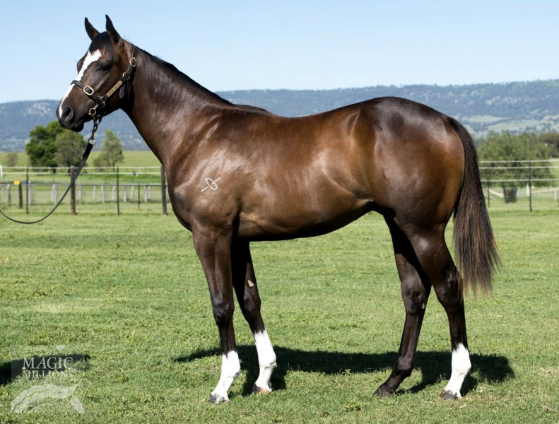 Beneteau (AUS) / Our Kitty (NZ) - photo 1