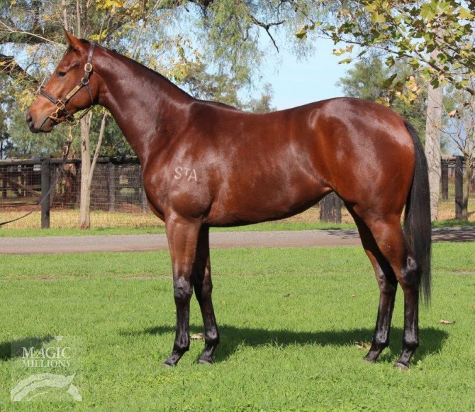 Penny Dreadful (AUS) - photo 1