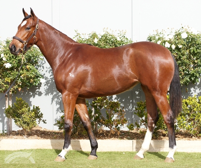 Road To Rio (AUS) - photo 1