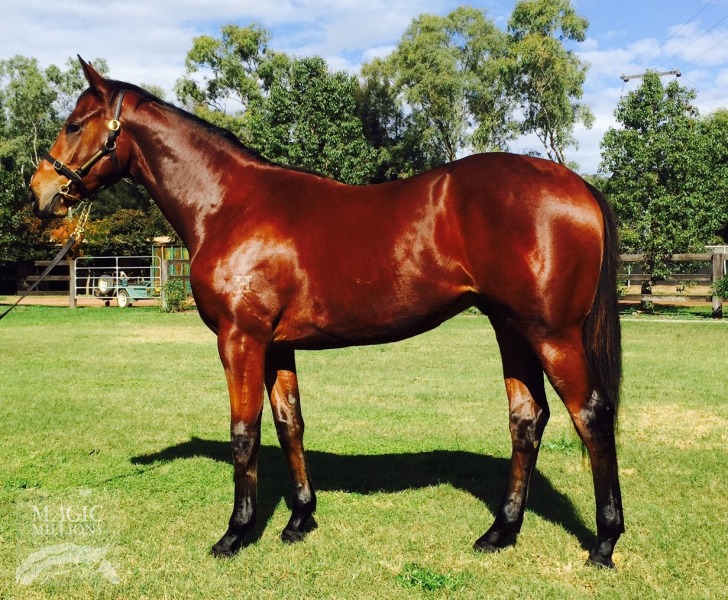 I Am Invincible (AUS) / Pure Pleasure (AUS) - photo 1