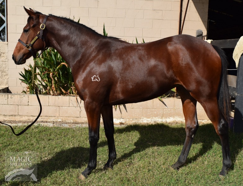 Behind Bars (AUS) - photo 1