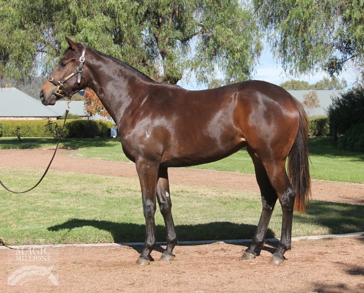 Surely Not (AUS) - photo 1