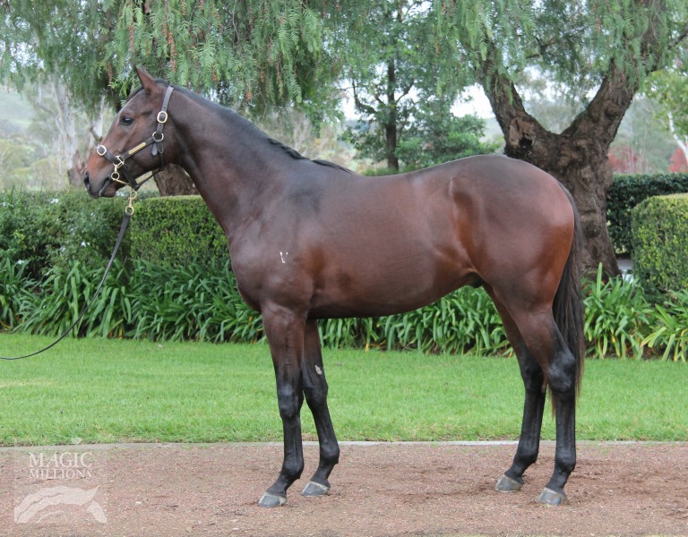 More Thunder (AUS) - photo 1