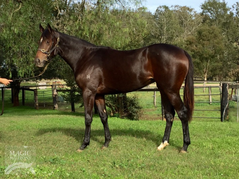 Mutawaajid (AUS) / Vodka 'n Tonic (AUS) - photo 1