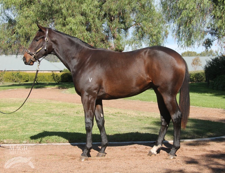 Cosmic Engine (AUS) - photo 1