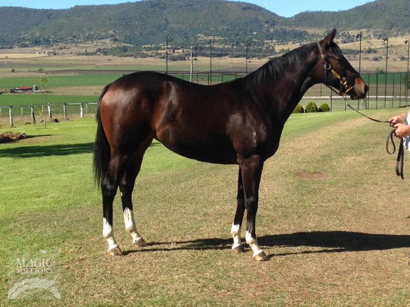 Drumbeats (AUS) / Catlyp (AUS) - photo 1