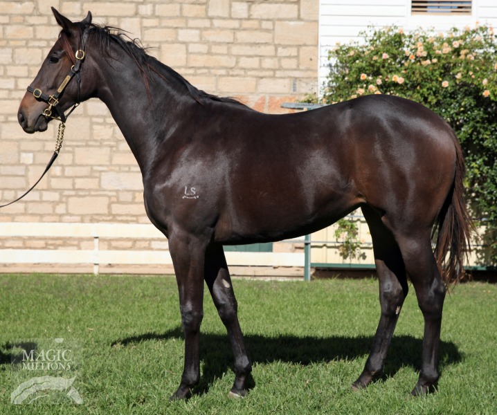 Scorcha (AUS) - photo 1