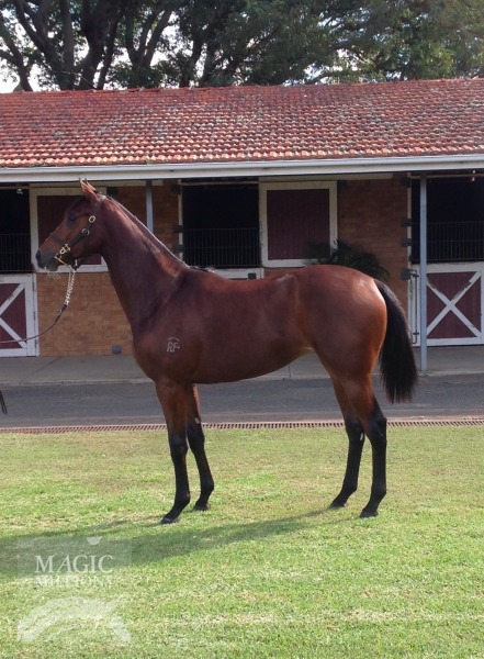 Monashee Mountain (USA) / Condoleezza (AUS) - photo 1