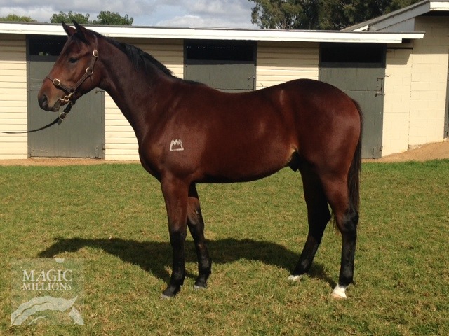 Evelyn (AUS) - photo 1