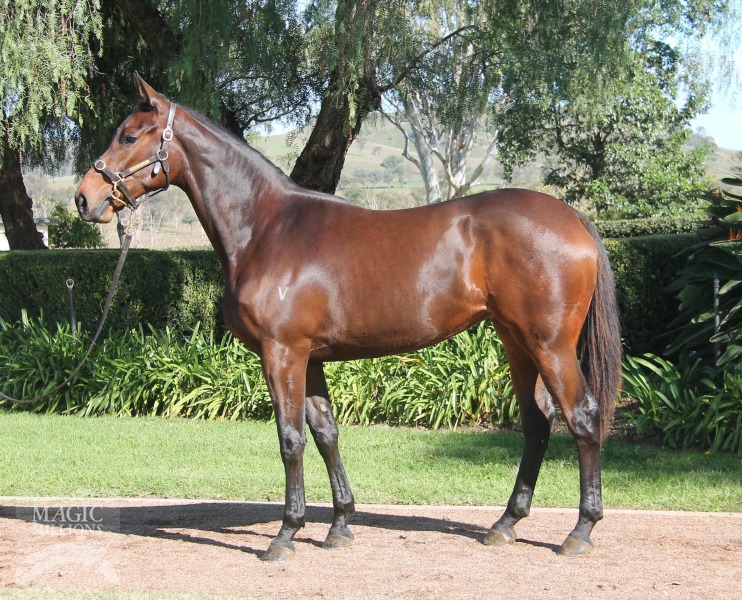 La Femis (AUS) - photo 1