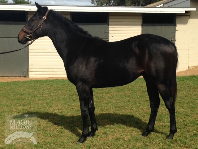 Si Si Sequalo (AUS) - photo 1