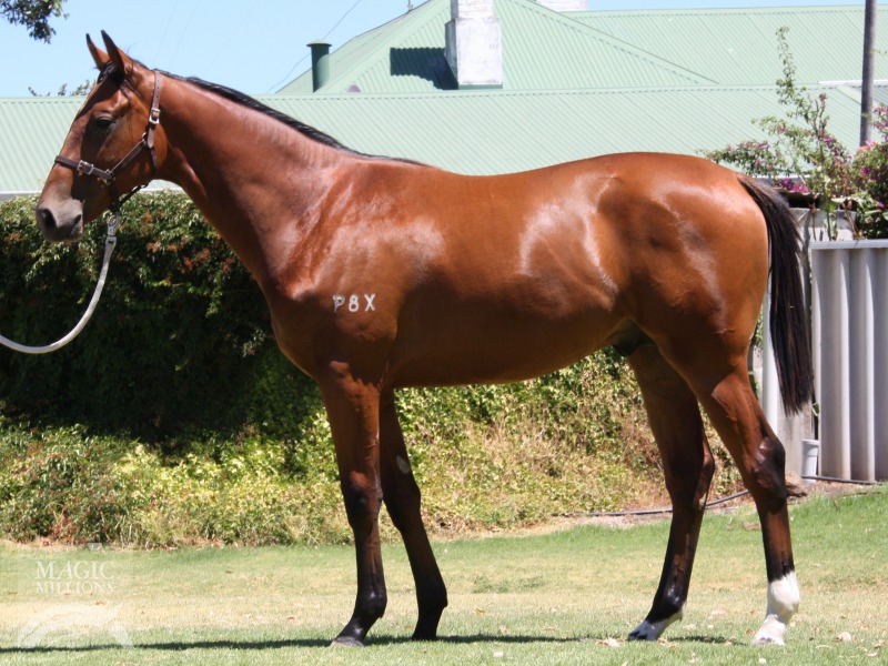 Blackfriars (AUS) / Scene Stealer (AUS) - photo 1