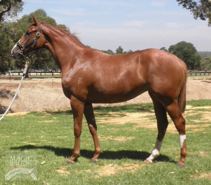 Psionics (AUS) - photo 1