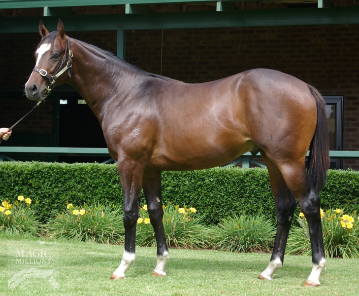 Ocean Clipper (AUS) - photo 1