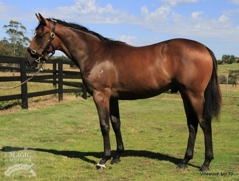 Ladoni (GB) / Villawood (AUS) - photo 1