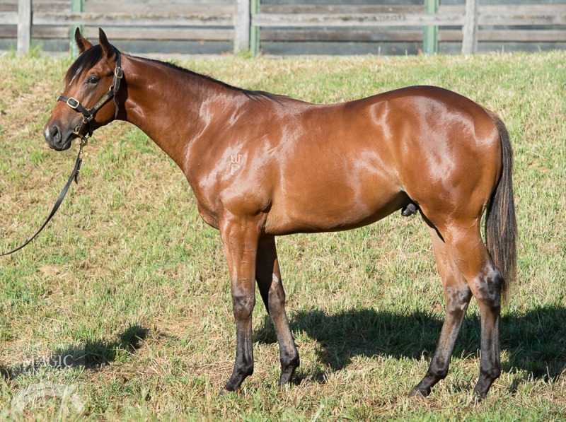 Not A Single Doubt (AUS) / Advance to Go (AUS) - photo 1