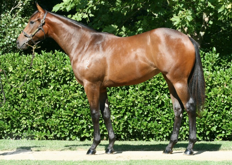 Delago Thunder (AUS) - photo 1