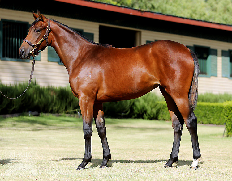 Encosta De Lago (AUS) / Andallthatjazz (AUS) - photo 1