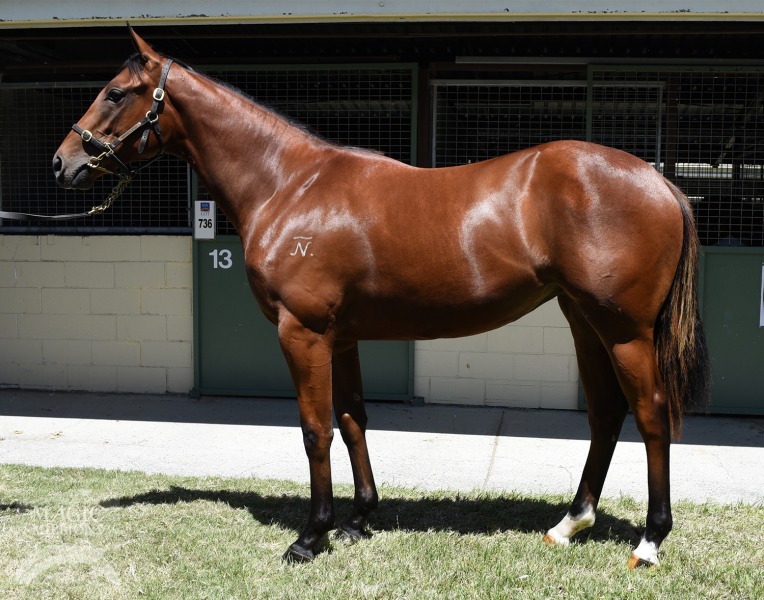 All Too Hard (AUS) / Annamarie (AUS) - photo 1