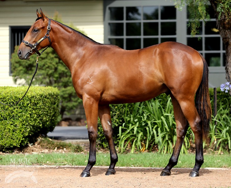 All Too Hard (AUS) / Assertive Sound (AUS) - photo 1