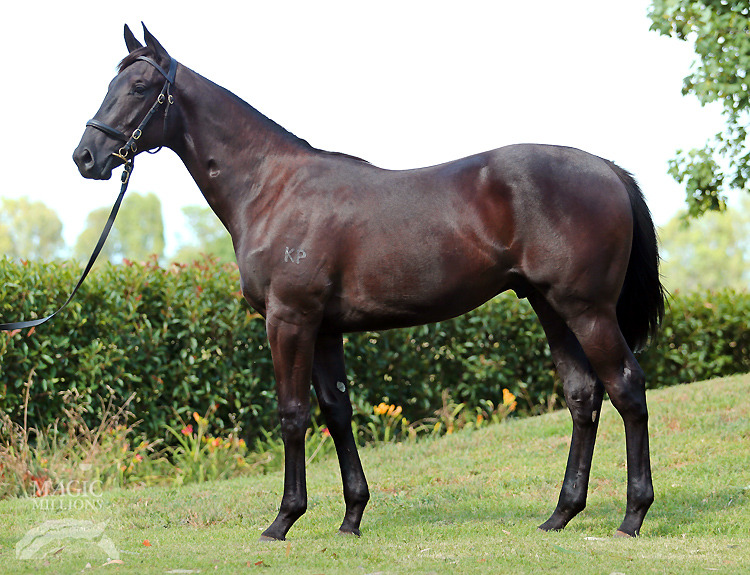 Pierro (AUS) / Augusta Proud (AUS) - photo 1